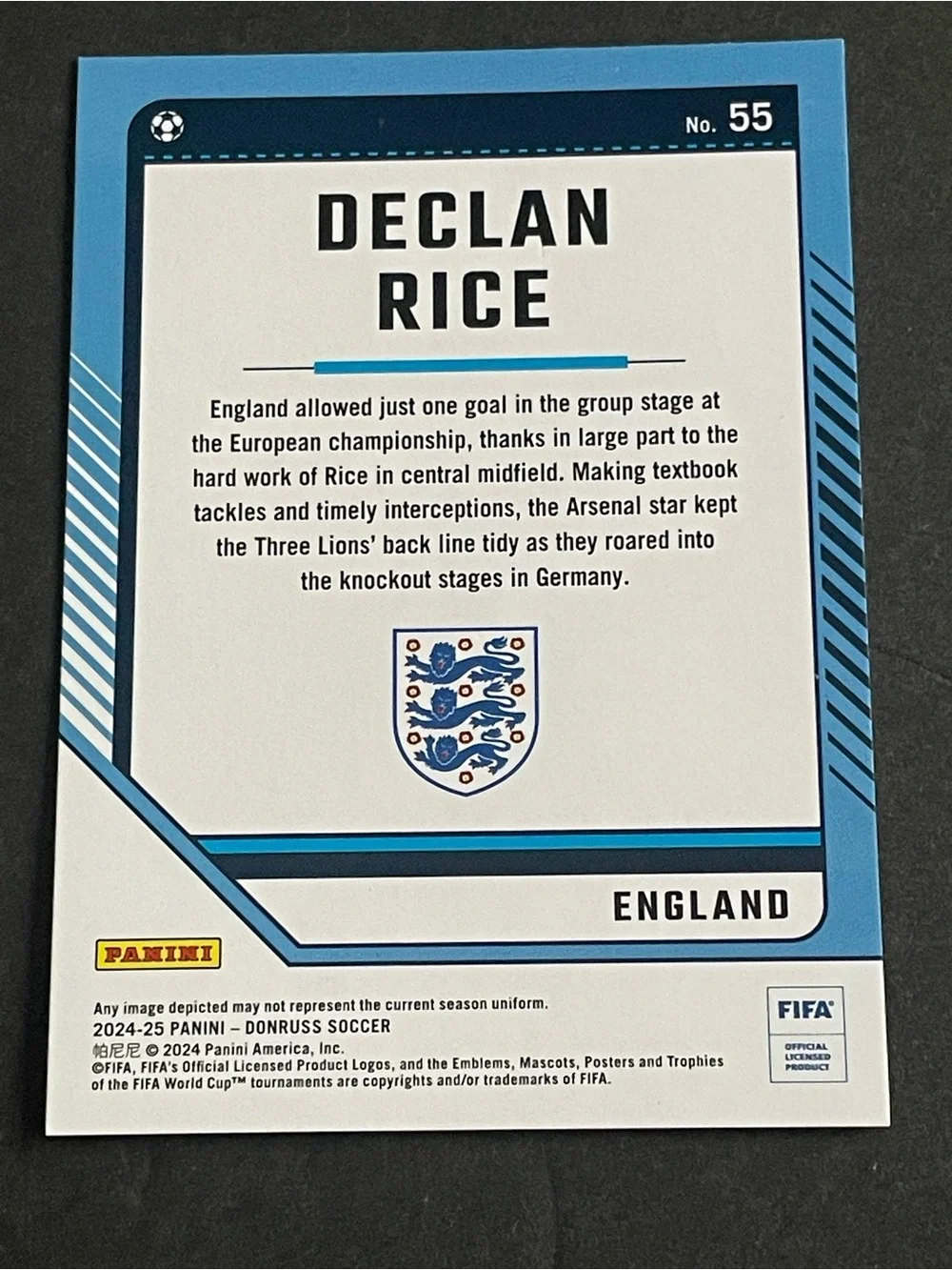 Panini 2024 25